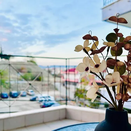 Ithaca 3rd Floor With A View